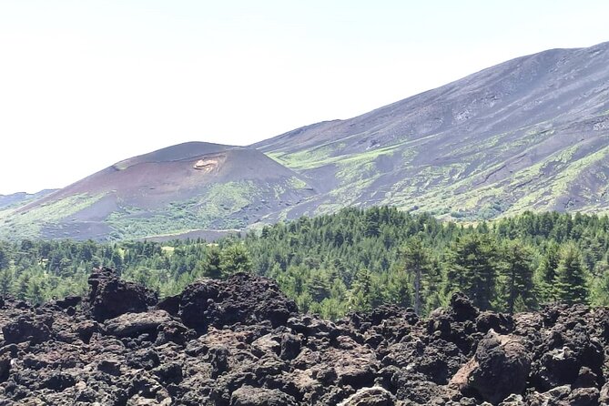 Private tour of Etna with food and wine tasting in the cellar - The Optional Lava-Flow Walk (1.5 Hours) That Changes Everything