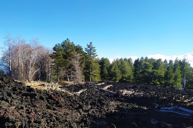 Private tour of Etna with food and wine tasting in the cellar - Winery Time on Etna: 4 Wines and Local Organic Food