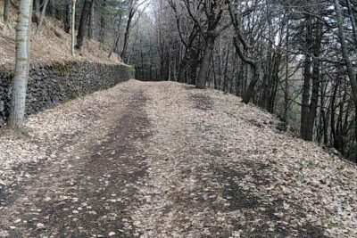 Private tour of Mount Etna and the Alcantara Gorges - Getting up Mount Etna: from the sea to about 2000m