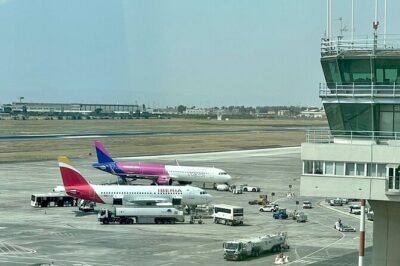 Private Transfer from Catania to Palermo with Tour options - Airport Pickup: How Flight-Code Monitoring Helps Real Life