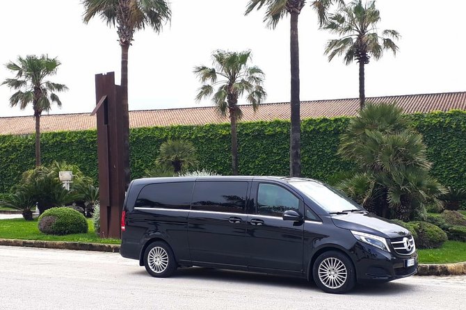 Private transfer from Palermo airport to Hotel Politeama or vice versa - Waiting Time and Flight Delays: The Real Value