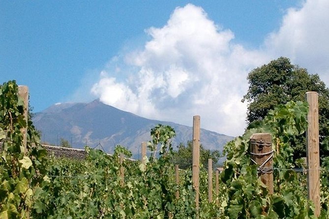 Private visit to the cellars of Etna with wine tasting - Getting to Etna: pickup in Catania that saves your day