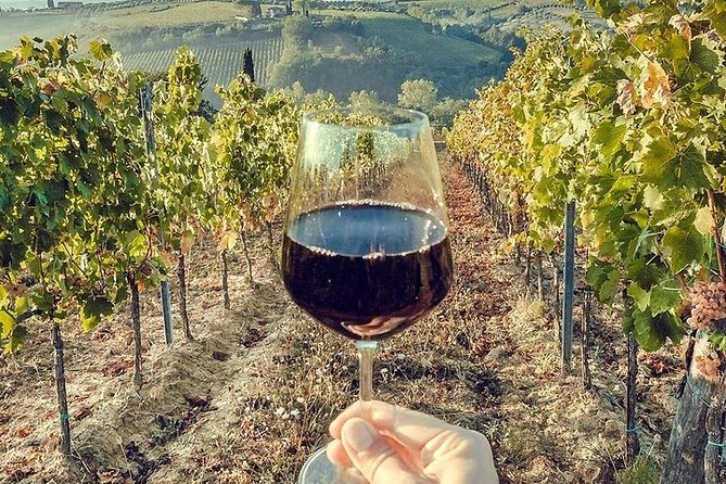 Private visit to the cellars of Etna with wine tasting - Stop on Etna: cellar time and tasting that isn’t rushed