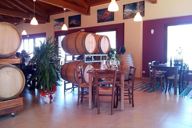 Private visit to the cellars of Etna with wine tasting - Price and value: what $220 really buys you