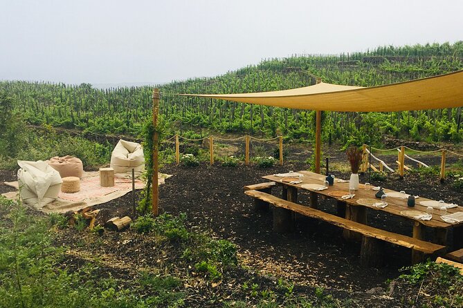 Private Wine and Food Tasting Immersed in Nature in Milo - Key highlights before you book