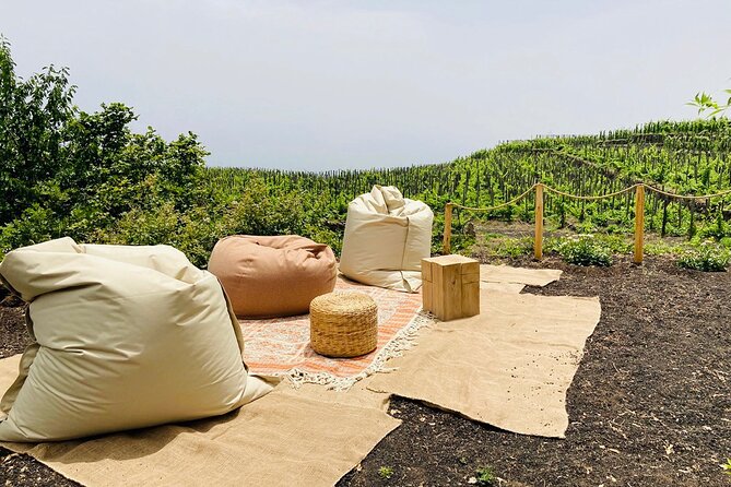 Private Wine and Food Tasting Immersed in Nature in Milo - The setting: terrace views, sea wind, and the feel of home