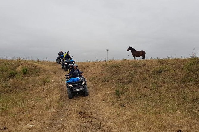 Quad excursion Hinterland Sciacca and Ribera - What the quad ride is really like: pace, driving feel, and expectations