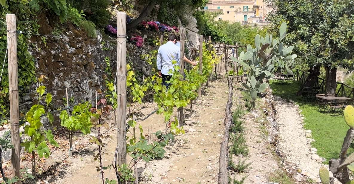 Radici: IImmerse yourself in the heady scents of our garden - Key things to know before you go
