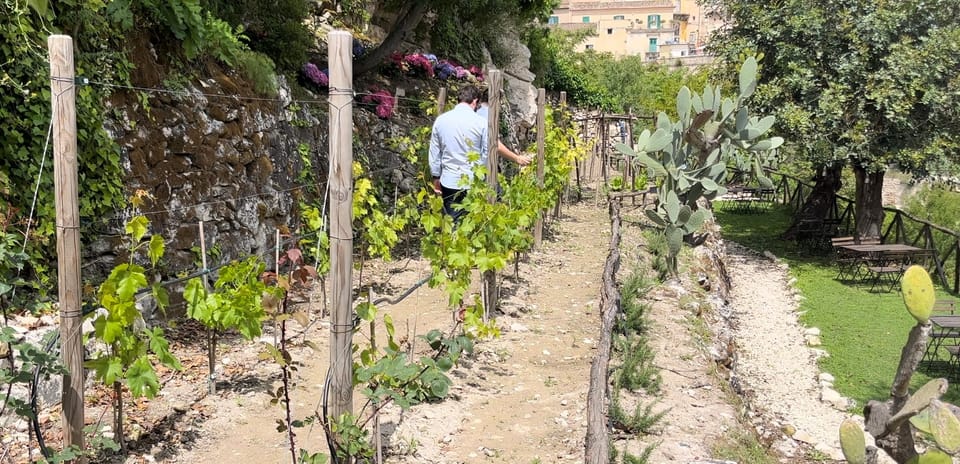 Radici: IImmerse yourself in the heady scents of our garden - The plants and the guide: the point isn’t just smelling herbs