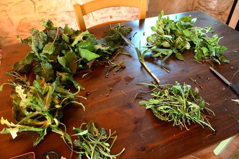 Ragusa Countryside Home Cooking Class & Meal - Chiaramonte Gulfi’s Countryside Cooking Feels Like a Home Meal, Not a Show