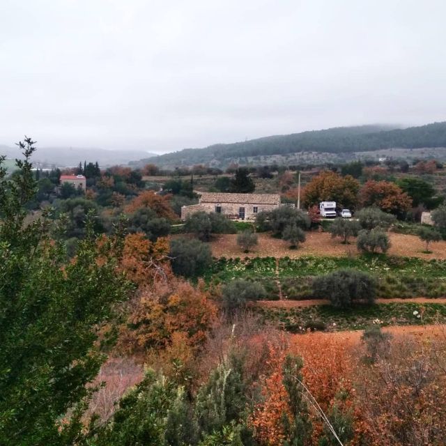 Ragusa Countryside Home Cooking Class & Meal - Who Should Book This, and Who Might Want a Different Type of Experience