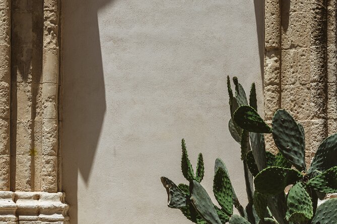 Ragusa Ibla Walking and Photography Tour - Who this Ragusa Ibla tour suits best