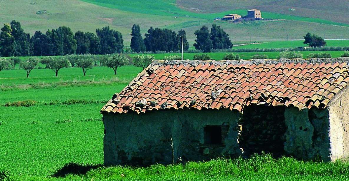Scenic Tour of Etna foot hills and Alcantara Gorges - Key Highlights to Look Forward To