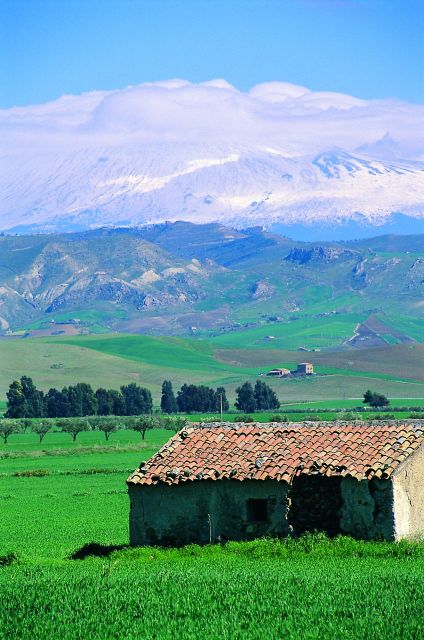 Scenic Tour of Etna foot hills and Alcantara Gorges - Why Alcantara Gorges Feels So Striking