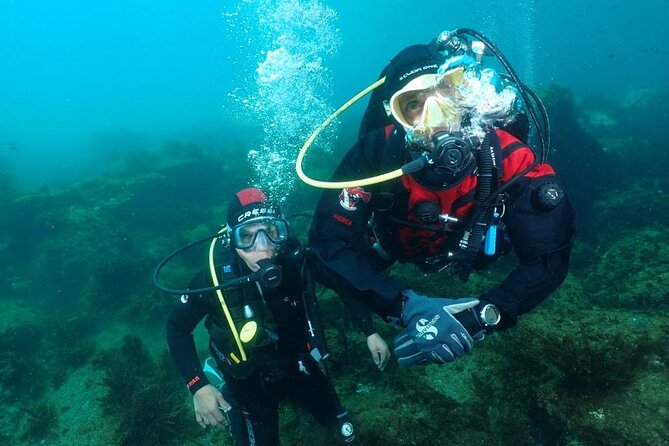Scuba Diving Experience - Area Marina Protetta Isole Ciclopi: Why This Spot Is a Big Deal