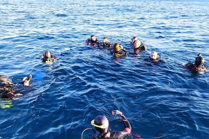 Scuba Diving Experience - Price and Value: Is $84.21 Worth It?