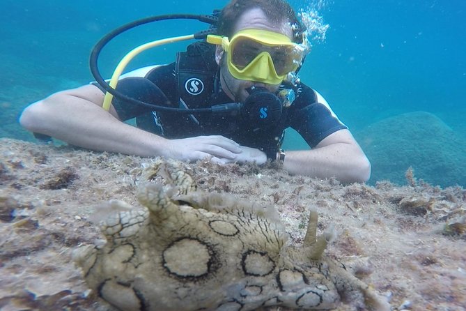Scuba Diving Experience in Taormina - The Stop at Isola Bella: What to Expect in the Water