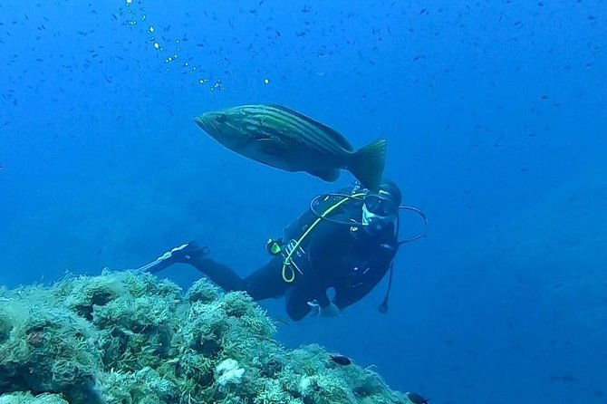 Scuba Experience - Key highlights to know before you go