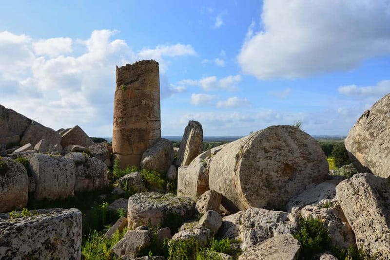 Selinunte: Archeological Park Entry Ticket & App Audioguide - Selinunte at a glance: why this park takes up real time