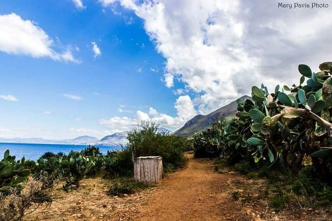Shuttle Bus Riserva dello Zingaro - How to use your time inside the reserve (without a fixed itinerary)