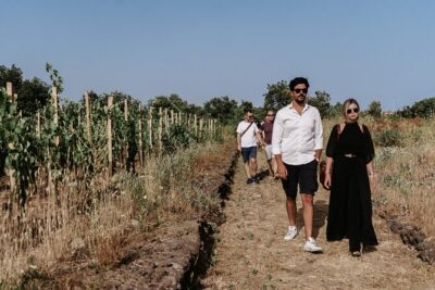 Sicilian Lunch with Wine Tasting - The shared-table Sicilian lunch: courses, pacing, and vegetarian-friendly options