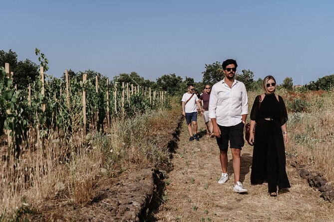 Sicilian Lunch with Wine Tasting - The shared-table Sicilian lunch: courses, pacing, and vegetarian-friendly options