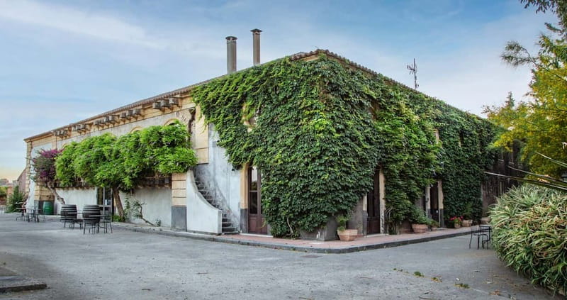 Sicilian Soul: Winery Tour, Wine & Food Tasting in Catania - Meeting at Tenuta del Gelso: Catania’s Easy Wine Break