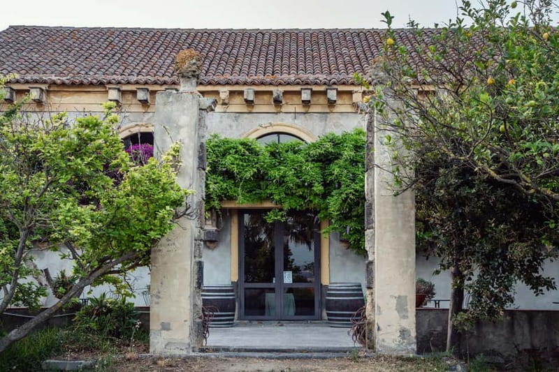 Sicilian Soul: Winery Tour, Wine & Food Tasting in Catania - Garden or Palmento in Real Time: What Happens During the 90 Minutes