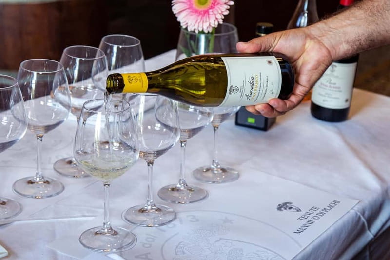 Sicilian Soul: Winery Tour, Wine & Food Tasting in Catania - Organic Farm Angle: Why It Matters for What You Taste