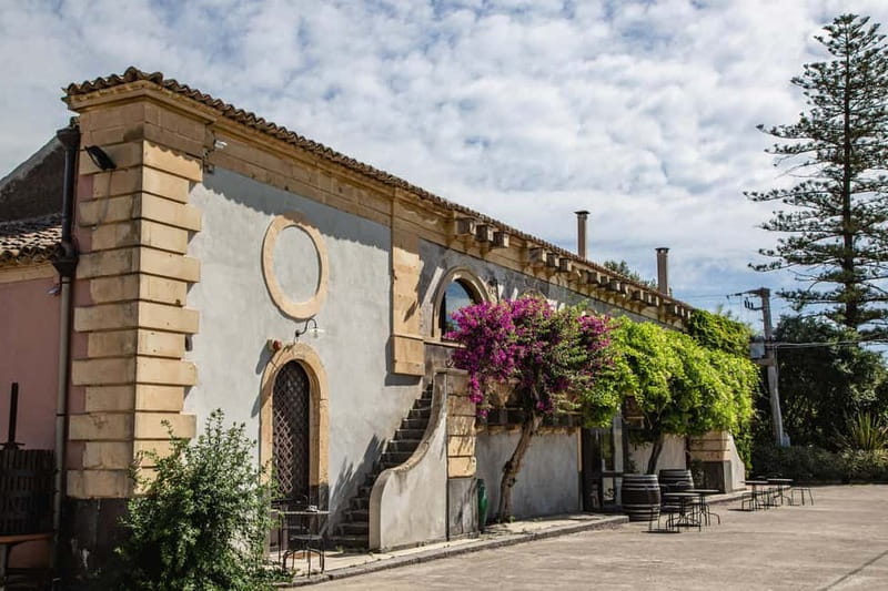 Sicilian Soul: Winery Tour, Wine & Food Tasting in Catania - Inside the Ancient Palmento: How the Setting Changes the Tasting