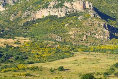 Sicilian Villages & Ricotta Tasting - including Lunch from Cefalu - Castelbuono Paese: a 45-minute hill village stop