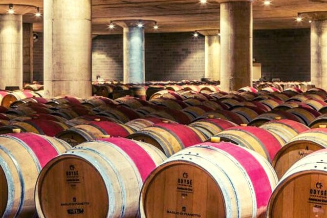 Sicilian Winery Tour with Wine Tasting from Palermo - Inside the Baglio di Pianetto visit: vineyards and the production story