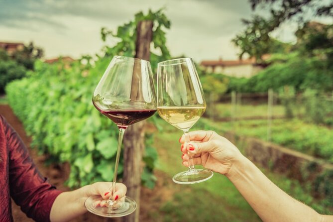 Sicilian Winery Tour with Wine Tasting from Palermo - Price and value: what $216.74 gets you (and why it can be fair)