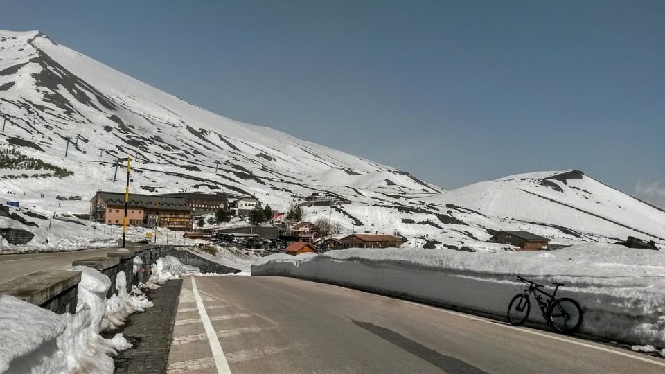 Sicily: Etna Volcano & Taormina Tour - Who this Etna and Taormina tour fits best
