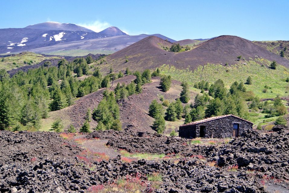 Sicily: Etna Volcano & Taormina Tour - Pickup at Palermo’s Politeama Palace and the day’s rhythm