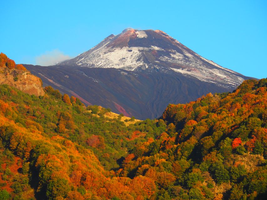 Sicily: Mount Etna's North Slope Craters Guided Hike Tour - Quick take: North slope craters in a nutshell