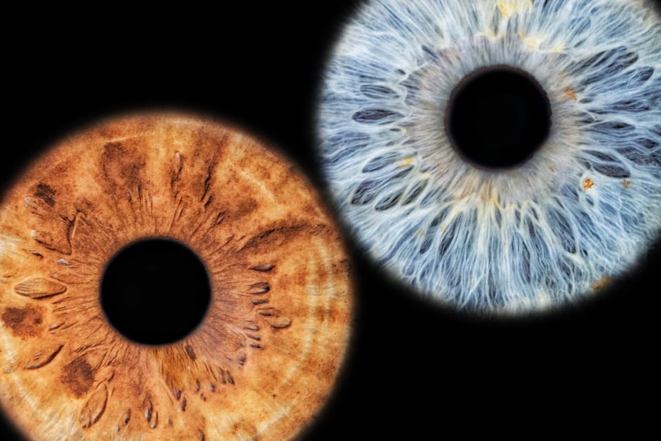 Siracusa Iris Photography Experience - Why an Iris Photo Belongs in Ortigia, Syracuse