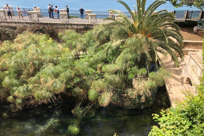 Siracusa & Noto: small group tour from Taormina - Key highlights worth knowing
