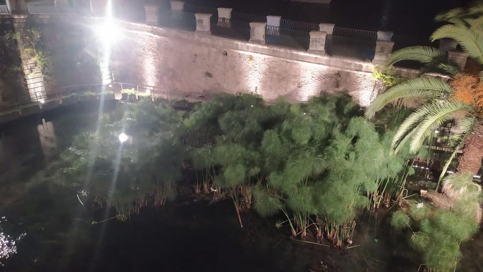 Siracusa Tour: Ortigia by Night in English - Via Dione: short guided moments that build a big picture