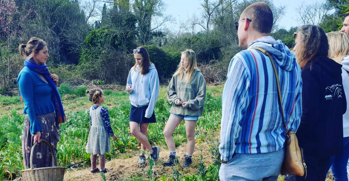 Slowlife Family Farm: From Garden to Table - Olive oil and wine tasting in an old pantry setting