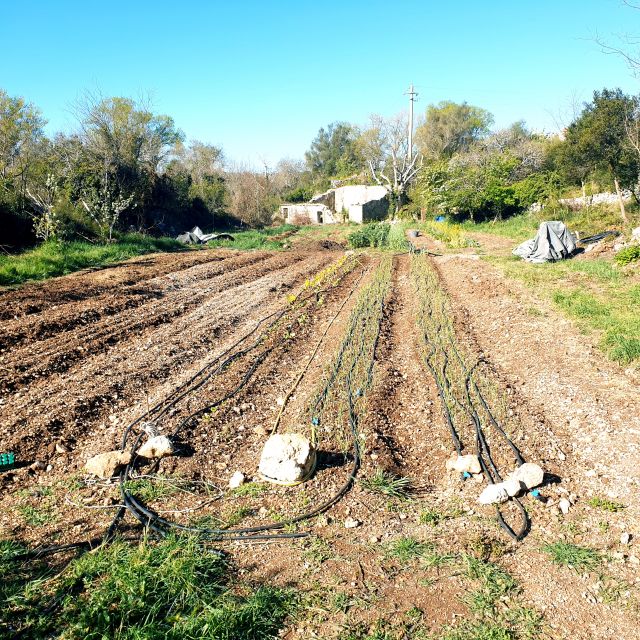 Slowlife Family Farm: From Garden to Table - Practicalities: meeting point, timing, and what to bring