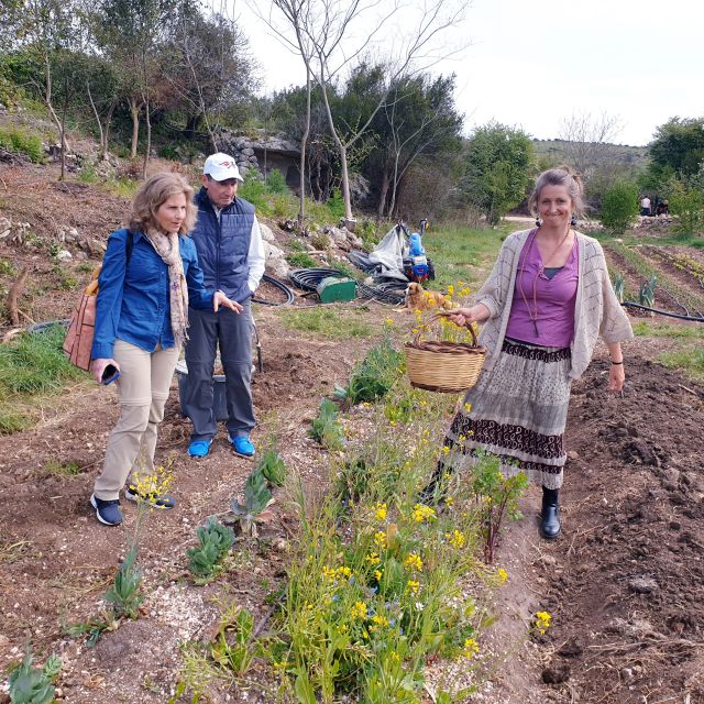Slowlife Family Farm: From Garden to Table - A balanced take: what you gain and what to consider