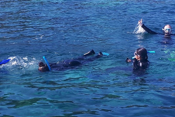 Snorkeling - The Boat Transfer: The Easy Part Before the Water