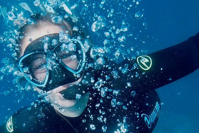 Snorkeling at Isola Bella Marine Park Taormina - Key Things You’ll Notice on This Snorkeling Trip