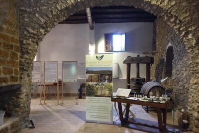 Soap and Olive Oil Experience - Inside the 19th-century soap museum: history you can see and science you can understand