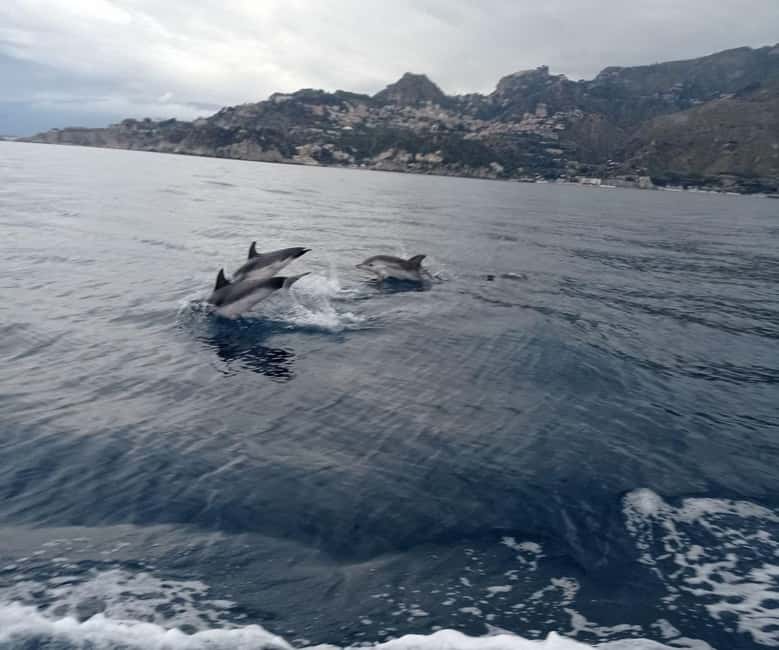 Sunset tour in search of dolphins with aperitif - Aperitif onboard: arancini or pizza with prosecco