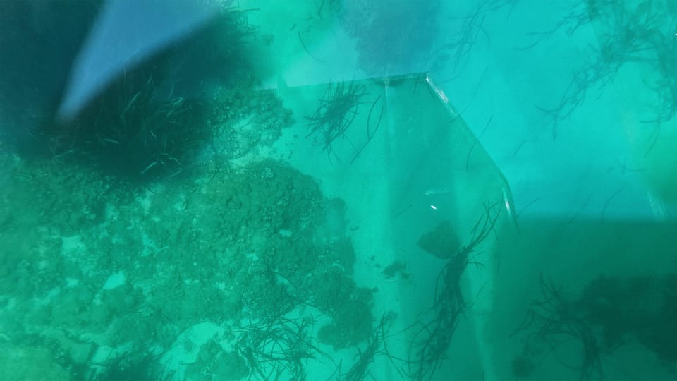Syracuse: Coast and Sea Caves Full Transparent Boat Tour - Sea caves and photo moments: how to get the best views fast