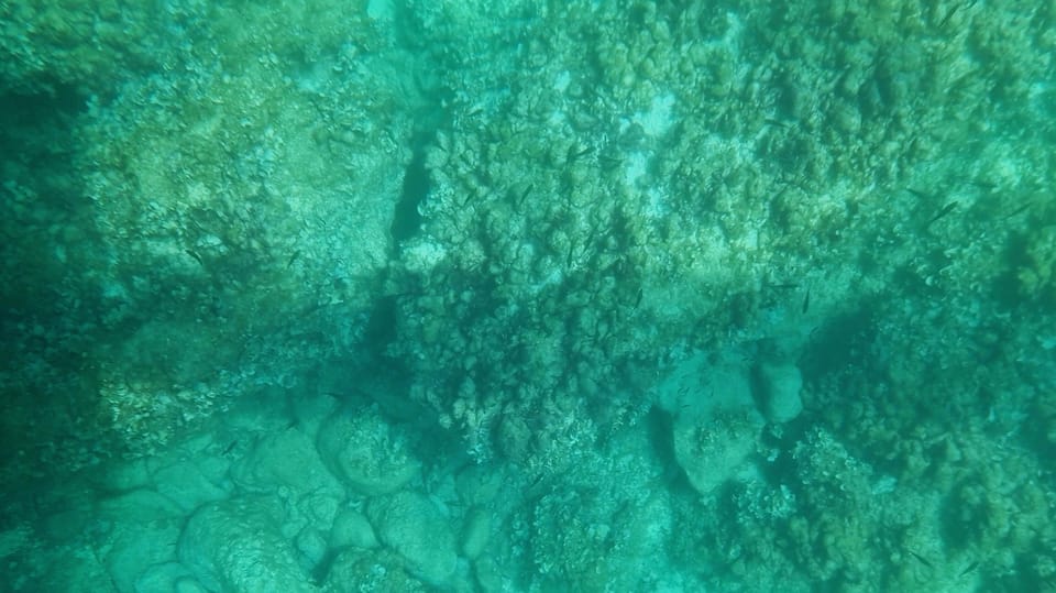 Syracuse: Coast and Sea Caves Full Transparent Boat Tour - Where you meet: Outside A Surgiva and quick boarding tips
