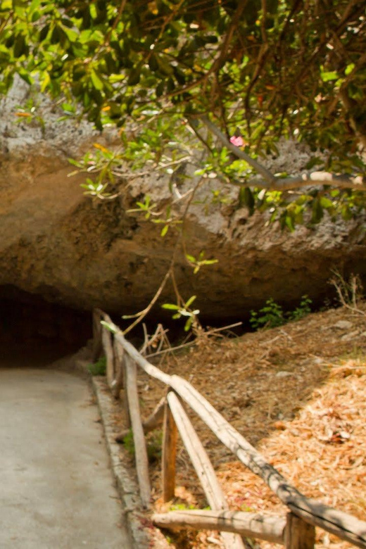 Syracuse: Greek Theater and Neapolis sunset tour - What you get for $46: value in a tight, high-impact route