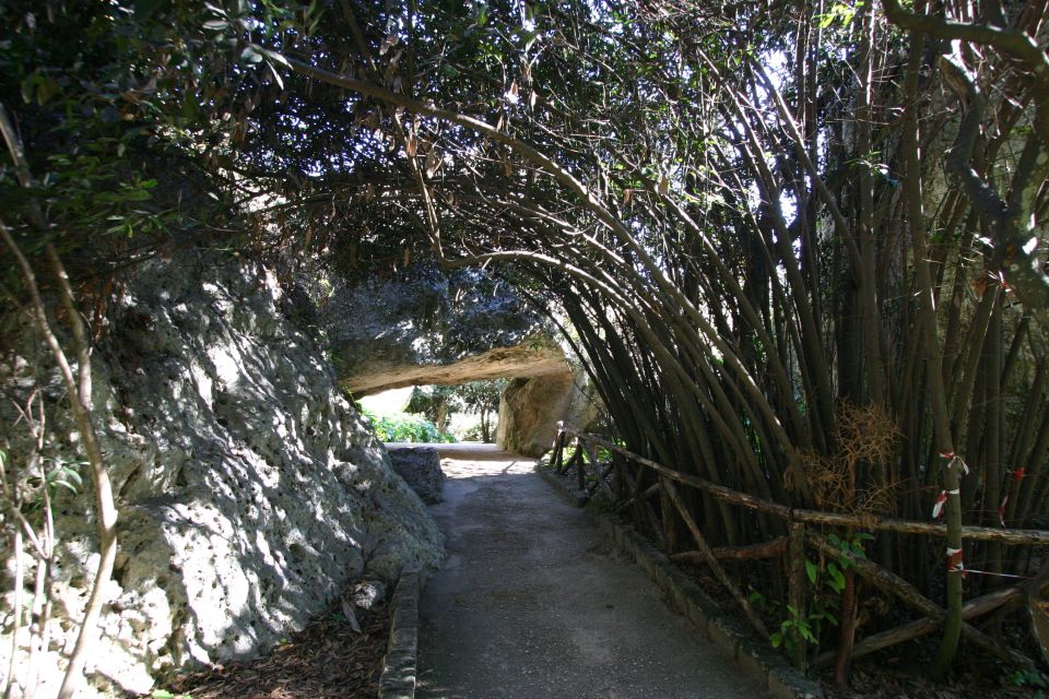 Syracuse: Neapolis Archaeological Park Small Group Tour - Meeting at the park: keep an eye on the start point
